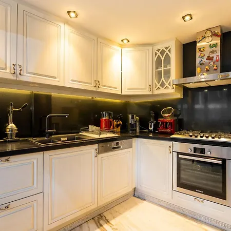 Bosphorus View Duplex W Terrace In Ortakoy