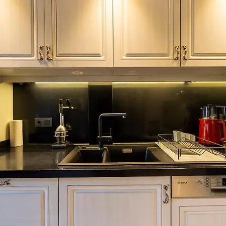 Villa Bosphorus View Duplex W Terrace In Ortakoy *